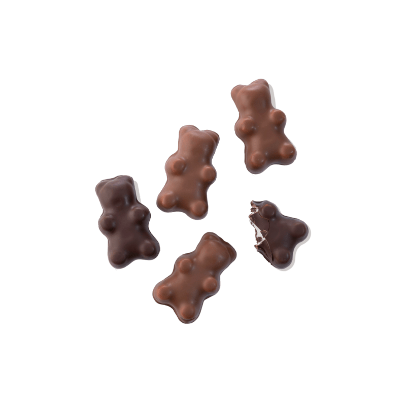 Ourson en chocolat -Teddyver - Maison Yver