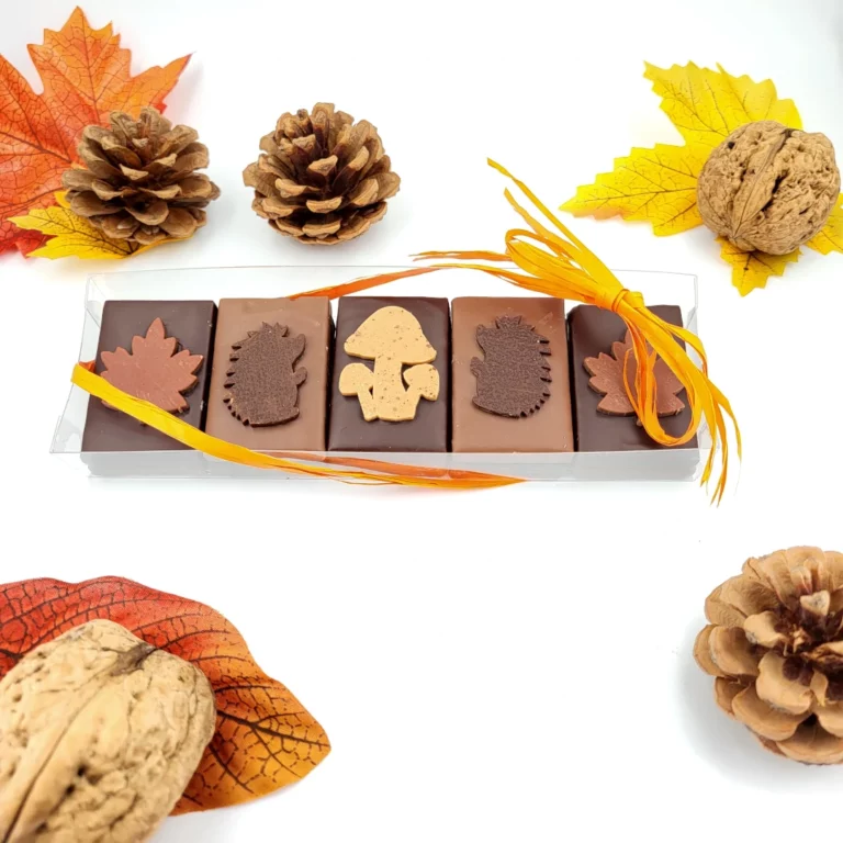 Réglette automne praliné amande chocolat noir et ganache vanille de Tahiti chocolat au lait