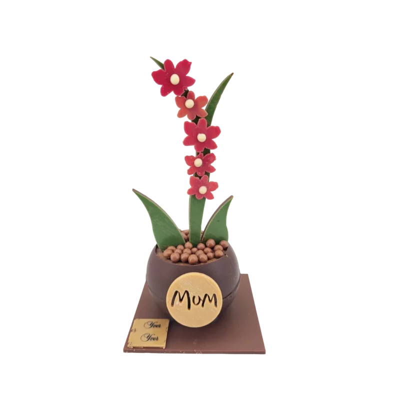 Pot de fleurs